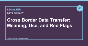 Cross Border Data Transfer: Meaning, Use, and Red Flags legal English thumbnail