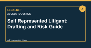 Self Represented Litigant: Drafting and Risk Guide legal English thumbnail